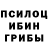 Псилоцибиновые грибы Cubensis JbirdJiggly