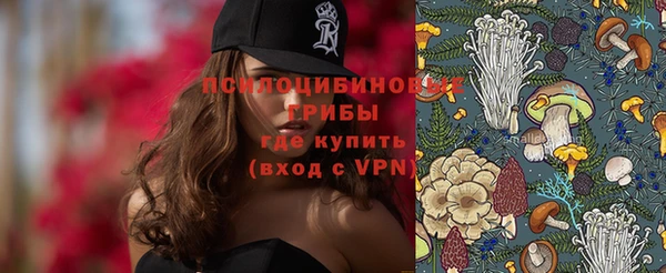 ПСИЛОЦИБИНОВЫЕ ГРИБЫ Чердынь