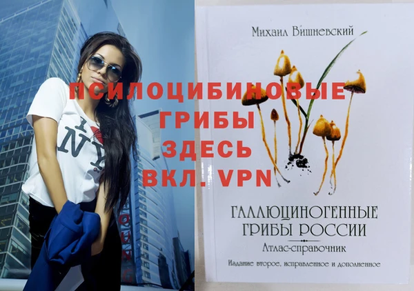 mix Новозыбков