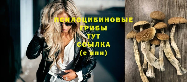 марки lsd Новокубанск