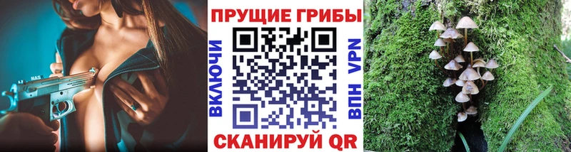 купить наркоту  Приволжск  omg   Псилоцибиновые грибы ЛСД 